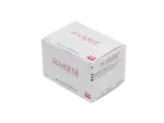 Sculptra 2 Vials